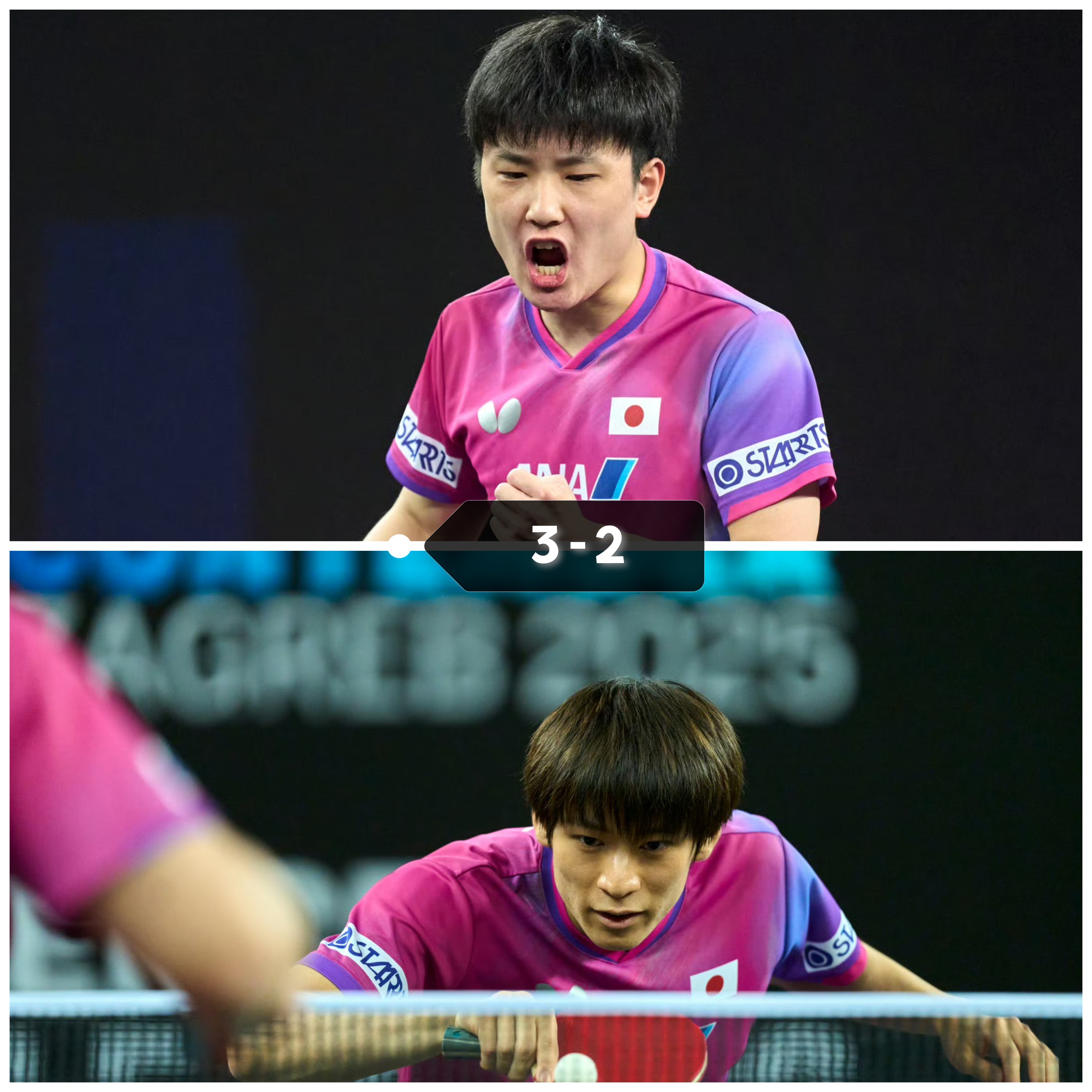 德国队险胜韩国队，张本智和高光表现