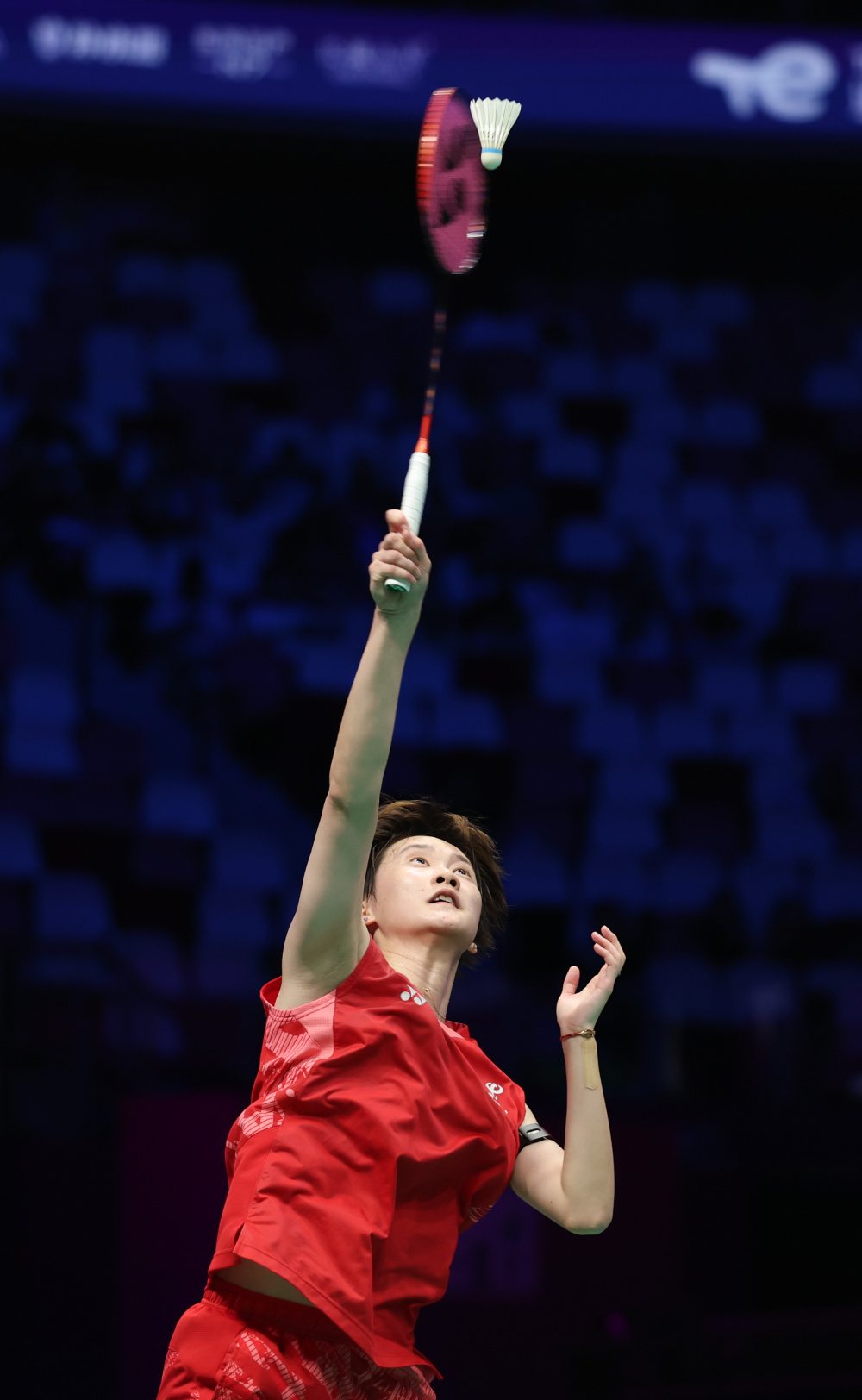 德国队轻取马来西亚队，陈雨菲惊艳四座