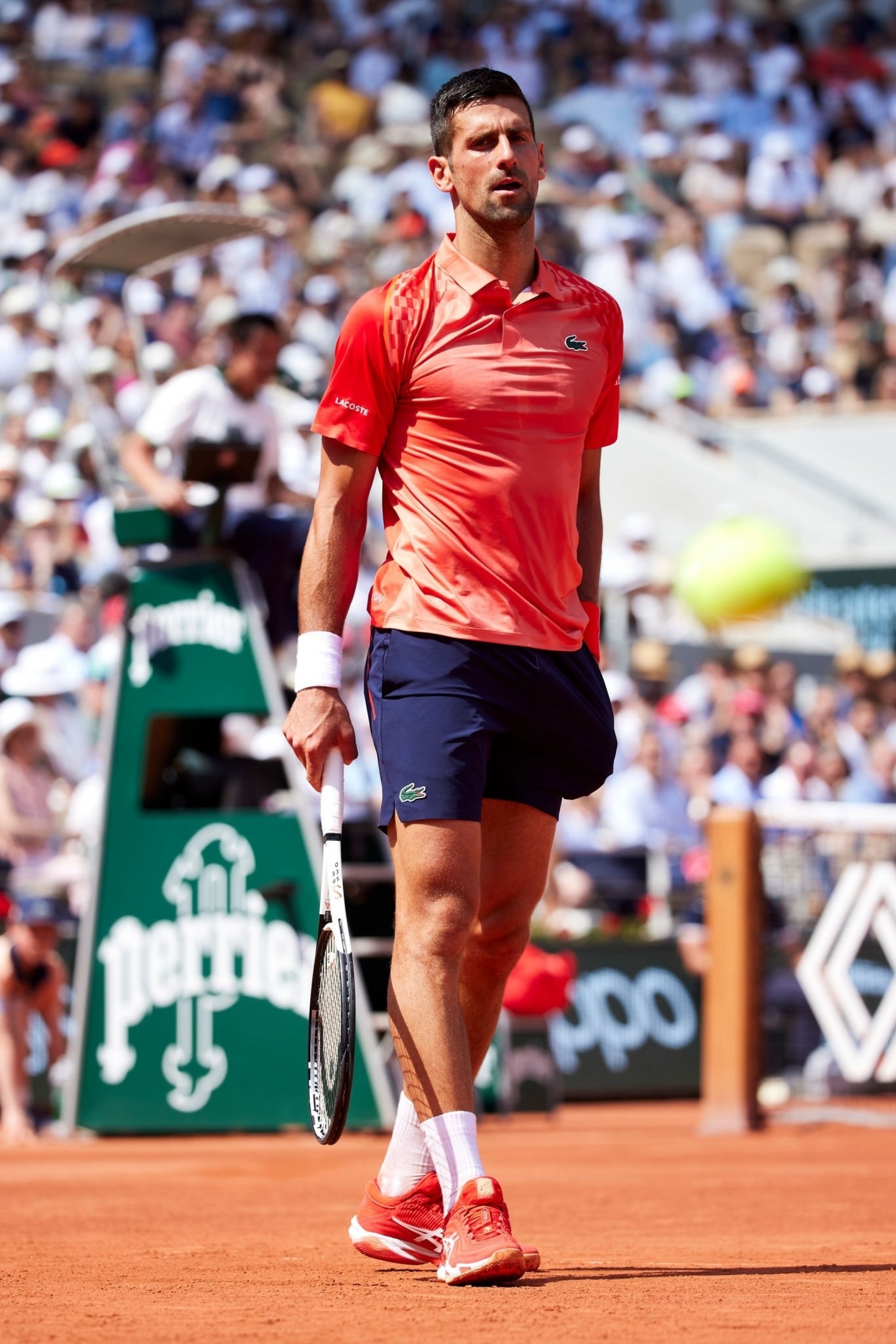 联合杯逆转法网，德约科维奇点燃赛场