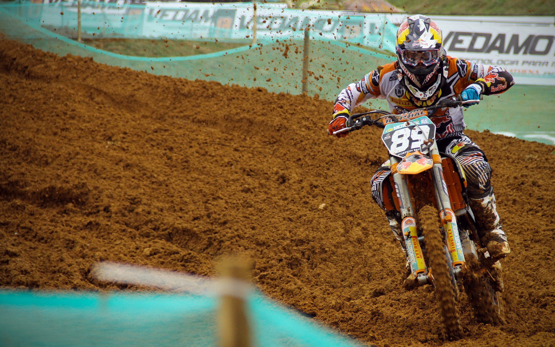 浓眉惊艳四座！浙江队内线新星闪耀，力克深圳队展现统治力