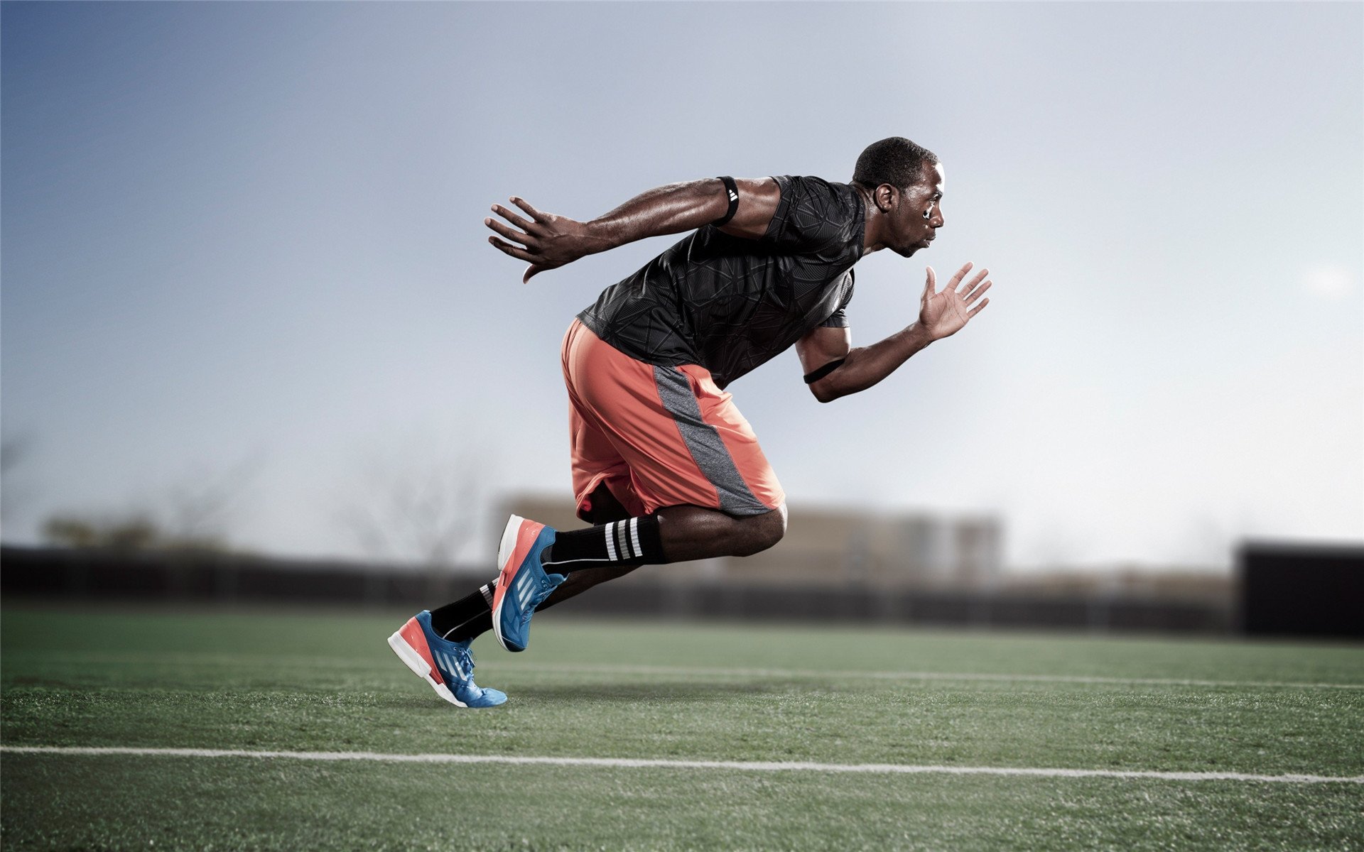 戈贝尔的无声统治，尼克斯对阵黄蜂，一场被防守主宰的比赛